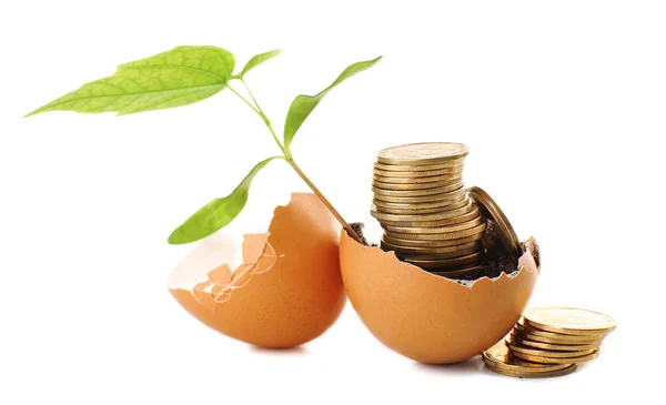 Coins and plant in eggshell isolated on white — Stock Photo, Image