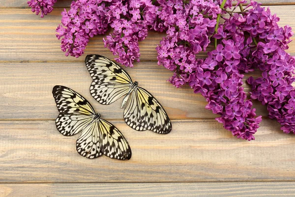 Güzel kelebekler ve ahşap zemin üzerine Eflatun çiçekler — Stok fotoğraf