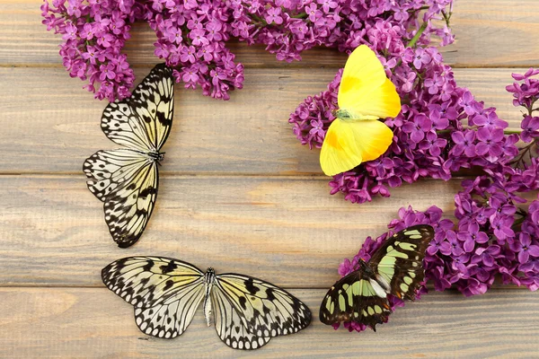 Hermosas mariposas y flores lila, sobre fondo de madera — Foto de Stock