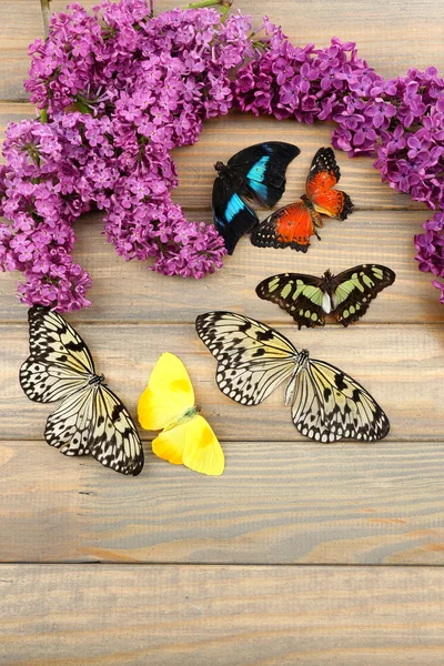 Hermosas mariposas y flores lila, sobre fondo de madera — Foto de Stock