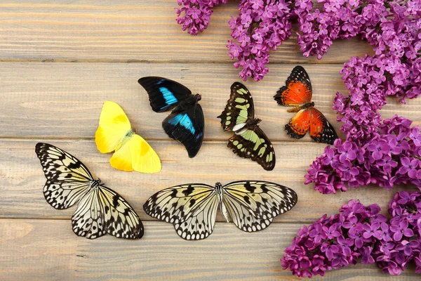 Schöne Schmetterlinge und fliederfarbene Blumen, auf Holzgrund — Stockfoto