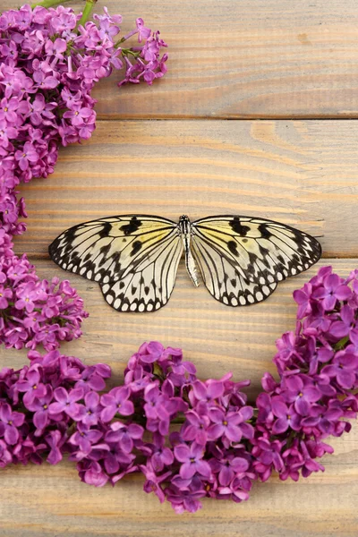 Prachtige vlinder en lila bloemen, op houten achtergrond — Stockfoto