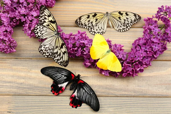 Hermosas mariposas y flores lila, sobre fondo de madera — Foto de Stock