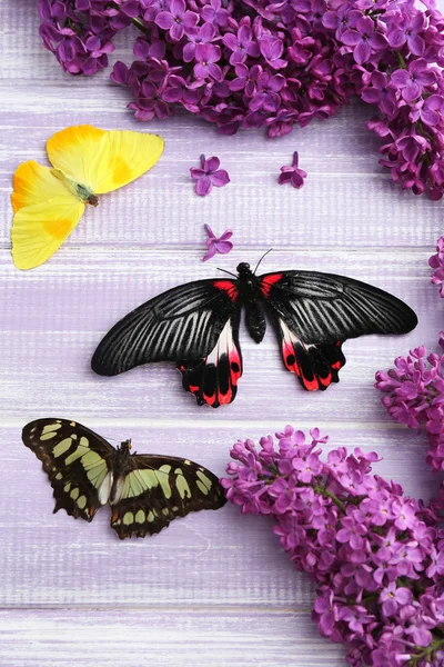 Hermosas mariposas y flores lila, sobre fondo de madera — Foto de Stock