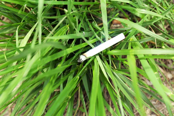 Smoldering cigarette on green grass, outdoors — Stock Photo, Image