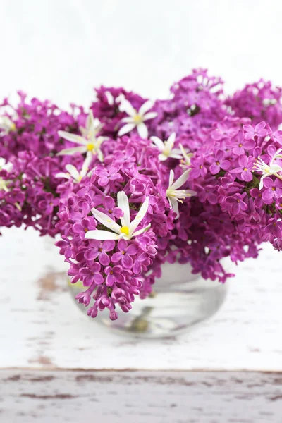 Lindas flores lilás, close up — Fotografia de Stock