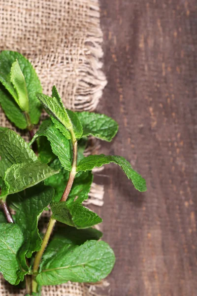 Menta sobre madera — Foto de Stock