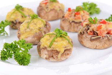 plaka yakın çekim doğum mantar dolması