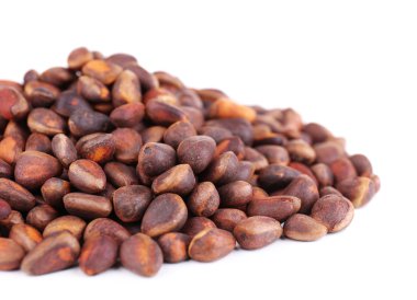 Çam fıstığı beyaza izole edilmiş.