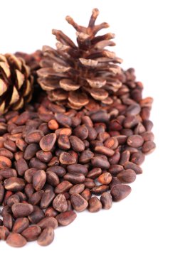 Çam fıstığı beyaza izole edilmiş.