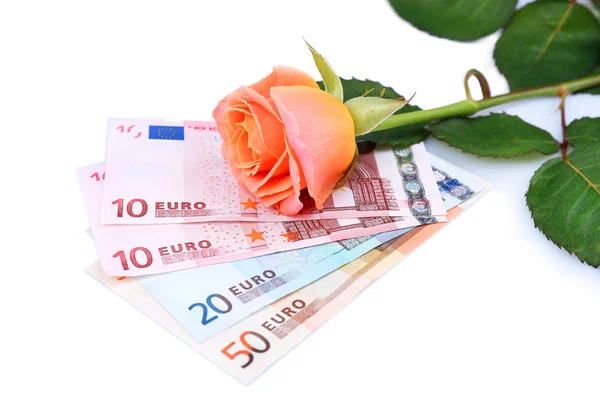 Mooie roos en geld, geïsoleerd op wit — Stockfoto