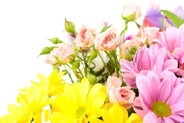 Hermosas flores aisladas en blanco —  Fotos de Stock