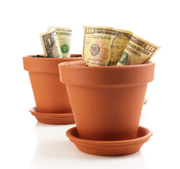 Business concept: growing money in the flowerpots, isolated on white — Stock Photo, Image