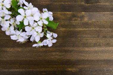 ahşap zemin üzerinde güzel meyve çiçeği