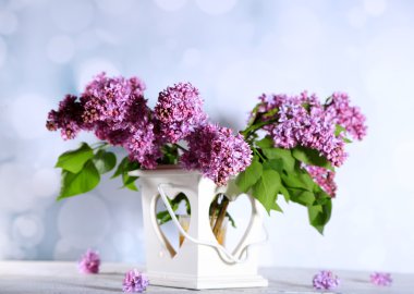 güzel Eflatun çiçekler vazoda renkli arka plan üzerinde ahşap tablo