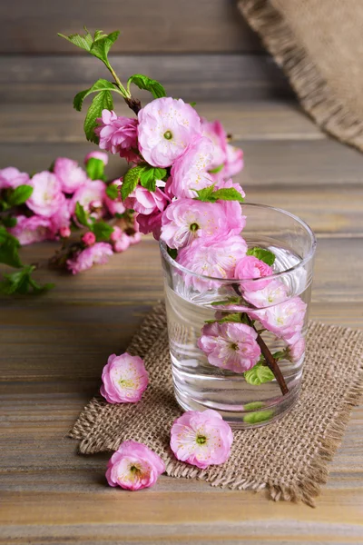 Vacker frukt blossom i glas på bordet på grå bakgrund — Stockfoto
