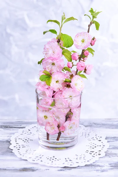 Mooie fruit blossom in glas op tafel op grijze achtergrond — Stockfoto