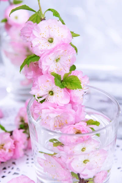 Mooie fruit blossom in glas op tafel op grijze achtergrond — Stockfoto