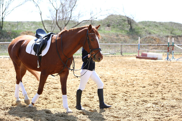 Девушка с лошадью
