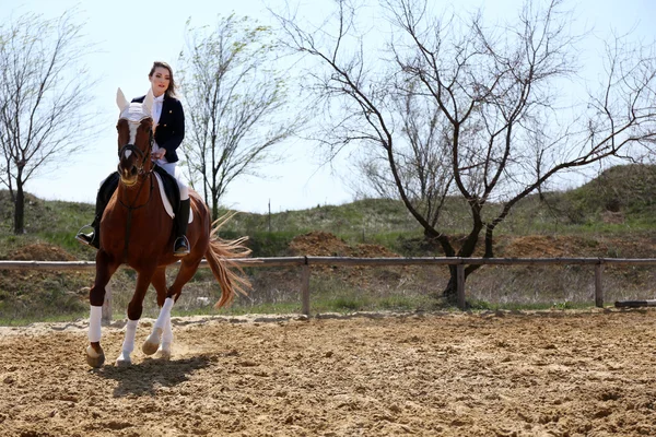 Chica con caballo — Foto de Stock