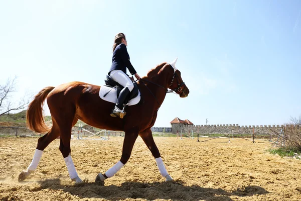 Menina com cavalo — Fotografia de Stock