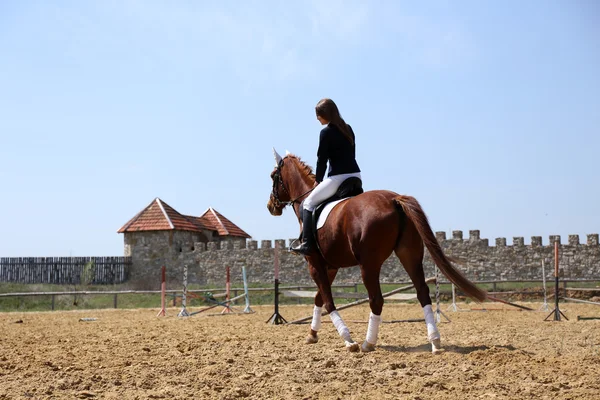 Chica con caballo — Foto de Stock