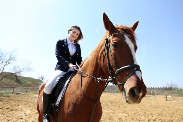 Ragazza con cavallo — Foto Stock