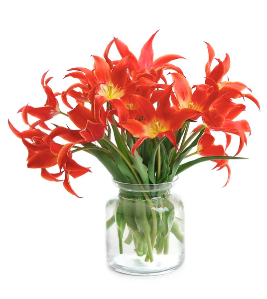 Red tulips — Stock Photo, Image