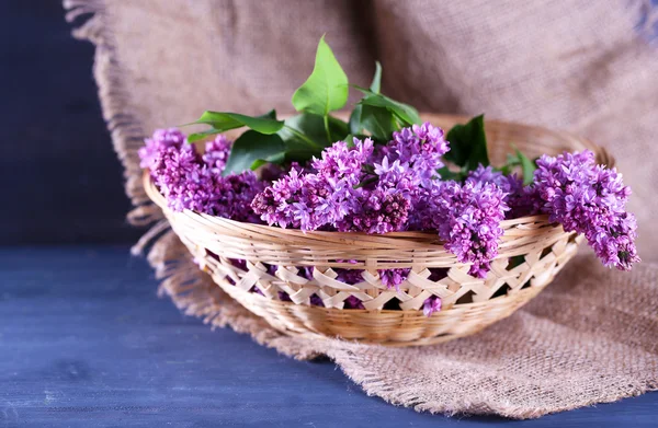 Belles fleurs lilas dans un panier en osier, sur fond de bois couleur — Photo