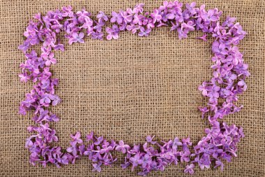 Eflatun çiçekler çok güzel