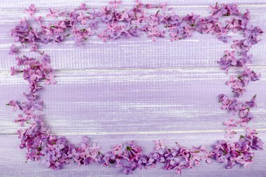 Eflatun çiçekler çok güzel