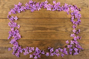 Eflatun çiçekler çok güzel