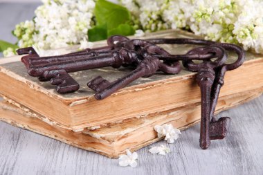 eski anahtarları ve eski kitaplar