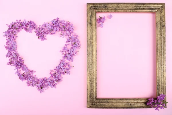 Beautiful lilac flowers — Stock Photo, Image