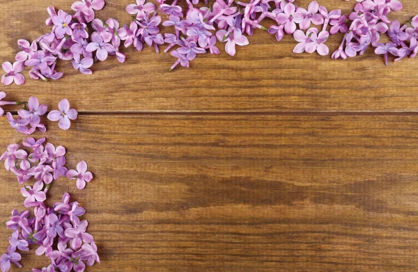 Beautiful lilac flowers — Stock Photo, Image