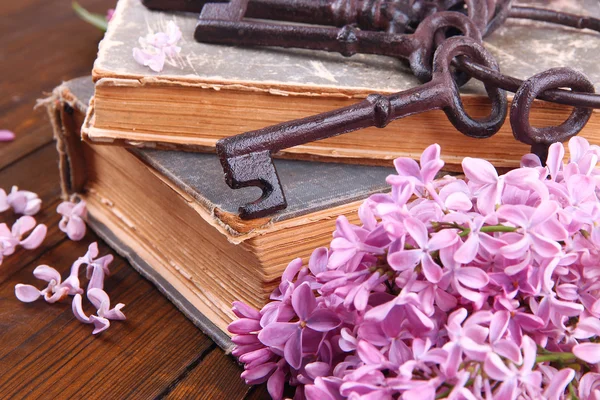 Old keys and old books — Stock Photo, Image