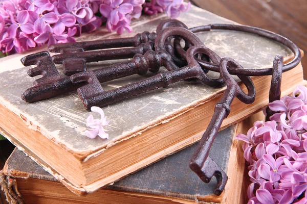 Alte Schlüssel und alte Bücher — Stockfoto