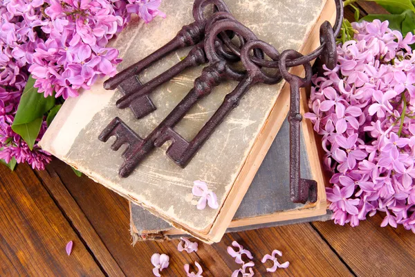 Stare klucze i stare książki — Zdjęcie stockowe