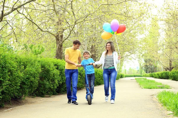 Mutlu bir aile, parkta yürüyüş — Stok fotoğraf