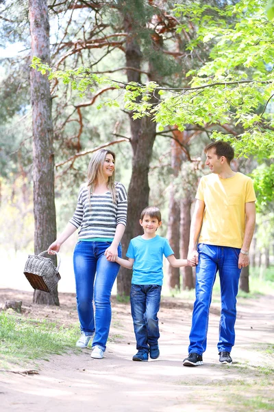 Familia feliz, camina por el parque —  Fotos de Stock