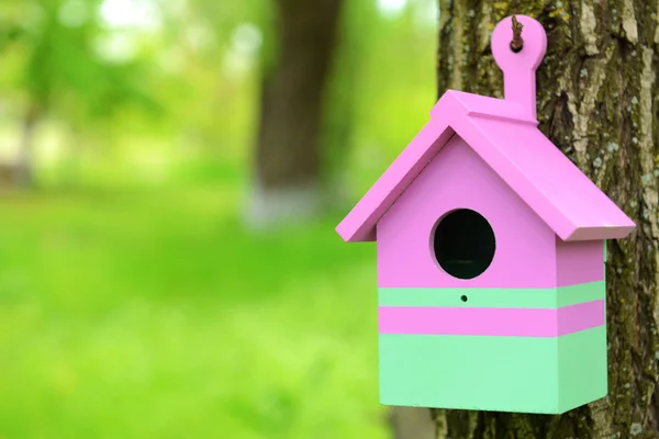 Casita de pájaros — Foto de Stock