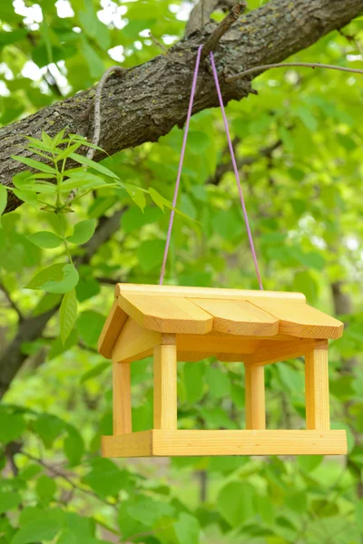 Casita de pájaros — Foto de Stock