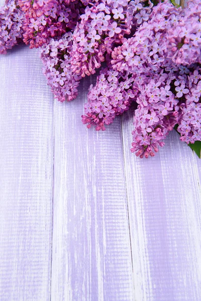 Beautiful lilac flowers — Stock Photo, Image