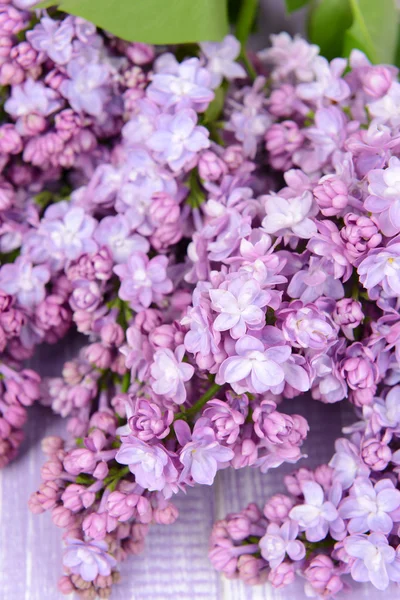 Schöne fliederfarbene Blüten — Stockfoto