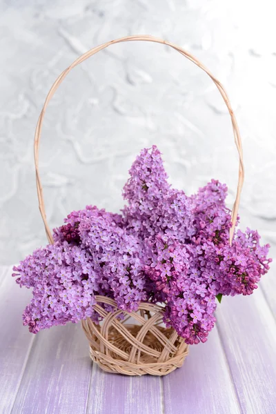Bellissimi fiori lilla — Foto Stock