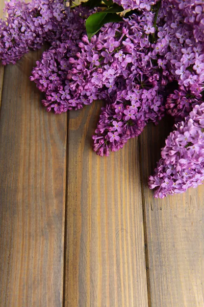 Schöne fliederfarbene Blüten — Stockfoto