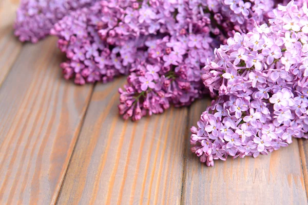 Lindas flores lilás — Fotografia de Stock
