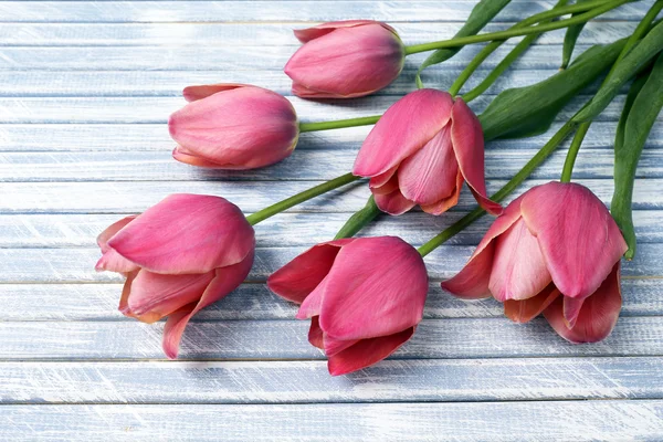 Belles tulipes roses sur fond en bois — Photo