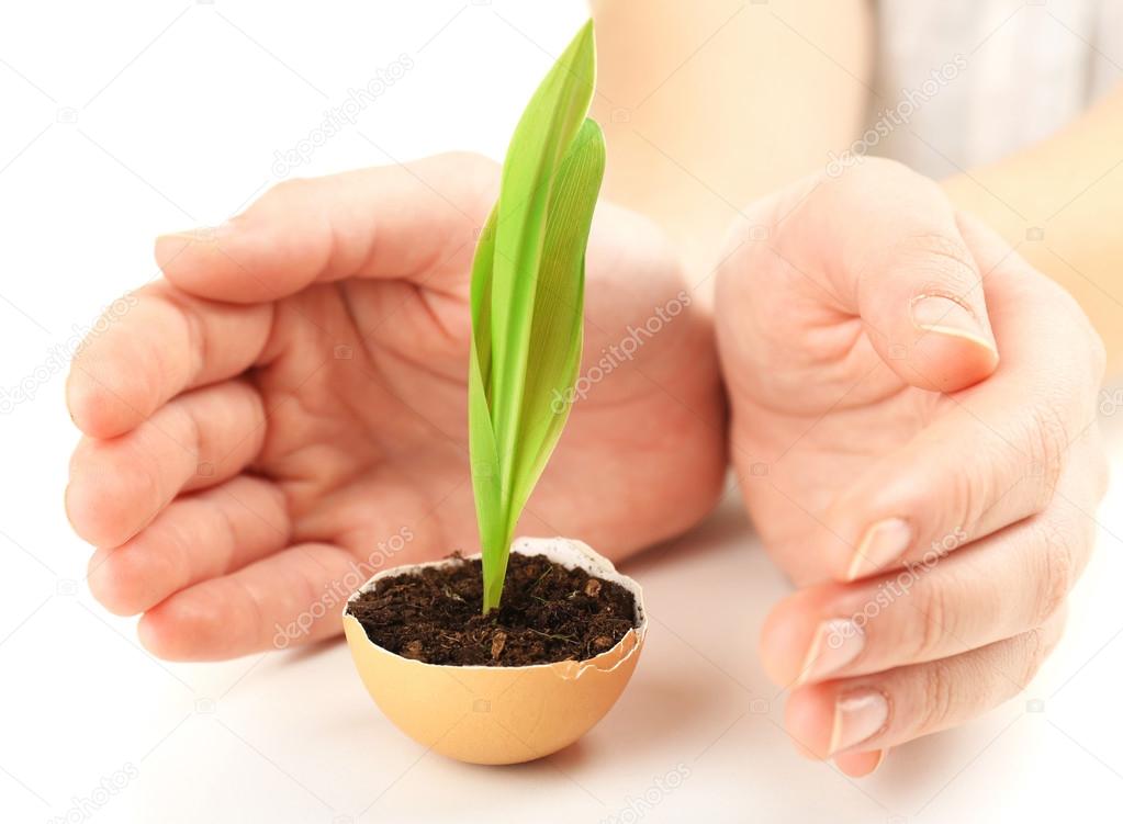 Human with green plant