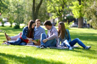 Parkta piknik üzerinde mutlu arkadaşlar